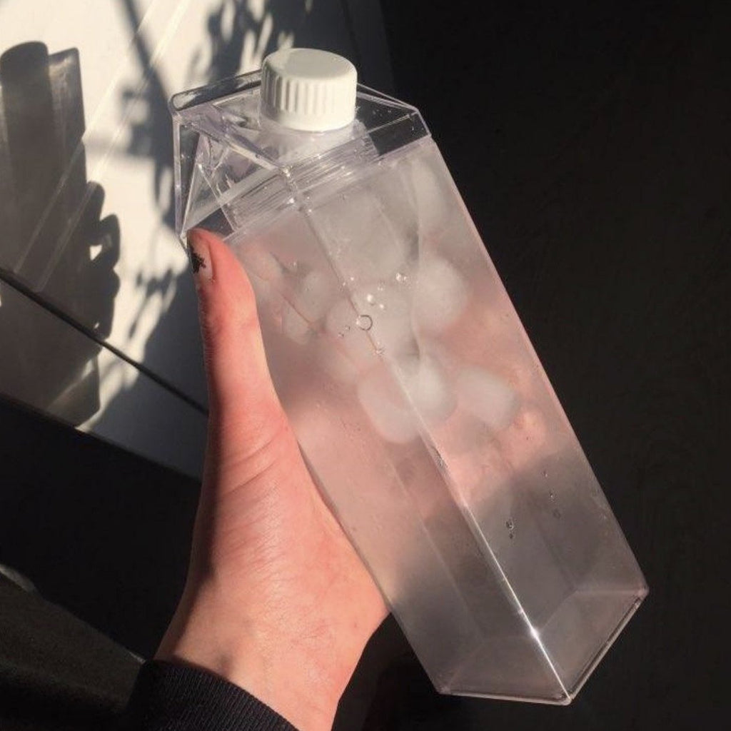 Reusable Carton Water Bottle