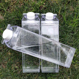 Reusable Carton Water Bottle